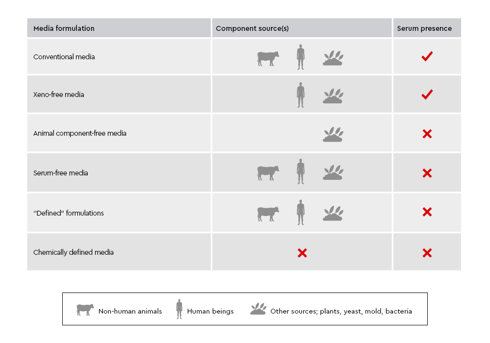 Thumbnail of a media specification guide PDF