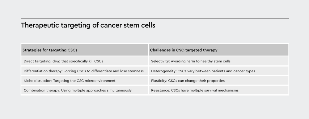 Table summarizing various strategies for targeting cancer stem cells (CSCs) and the associated challenges.