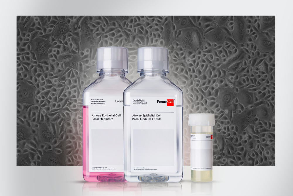 Media bottles of PromoCells new Airway Epithelial Cell Growth Media:  Airway Epithelial Cell Growth Medium 2 and Airway Epithelial Cell Growth Medium XF (prf).