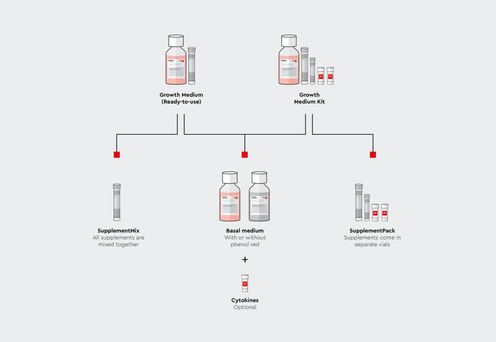 Media formats offered by PromoCell