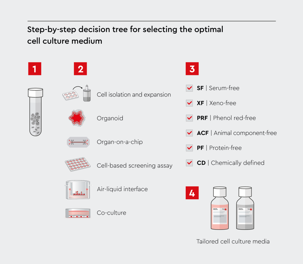 Step-by-step decision tree for selecting the optimal cell culture media. The decision involves four key steps: cell type, application, requirements, tailored solutions.