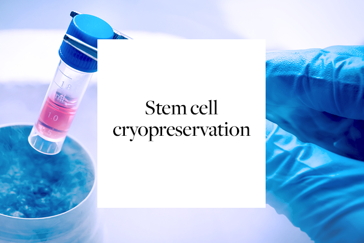 Stem cell cryopreservation