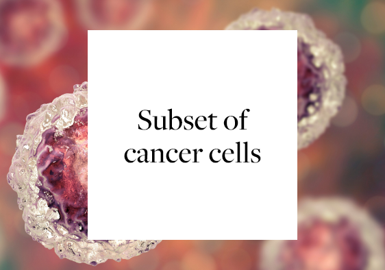 Tumor heterogeneity: The subset of cancer cells making the differences