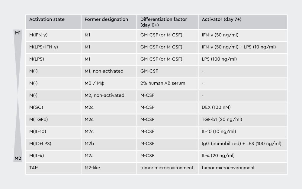 Table showing the macrophage plasticity spectrum.