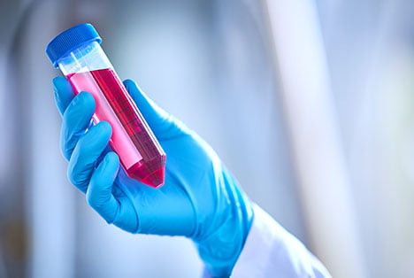 Understanding our cell culture media formulations