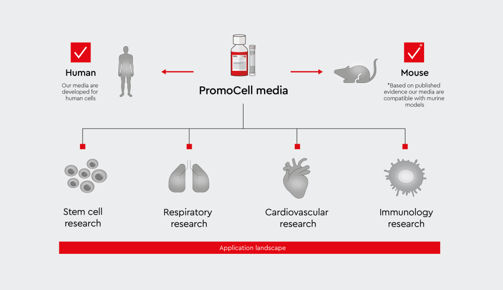 Scientific literature supports the use of PromoCell media in mouse and rat cell culture workflows across diverse research landscapes
