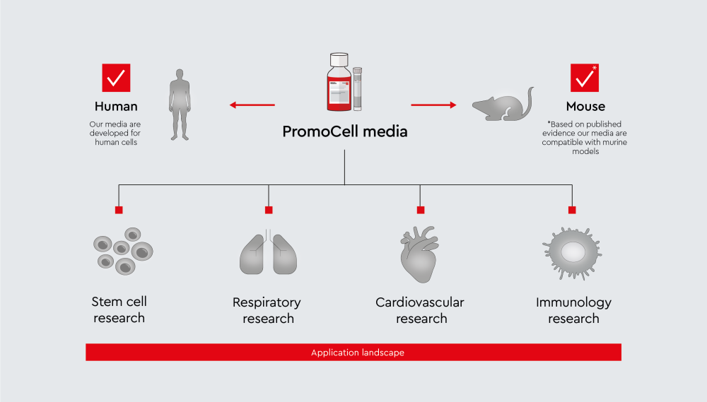Scientific literature supports the use of PromoCell media in mouse and rat cell culture workflows across diverse research landscapes