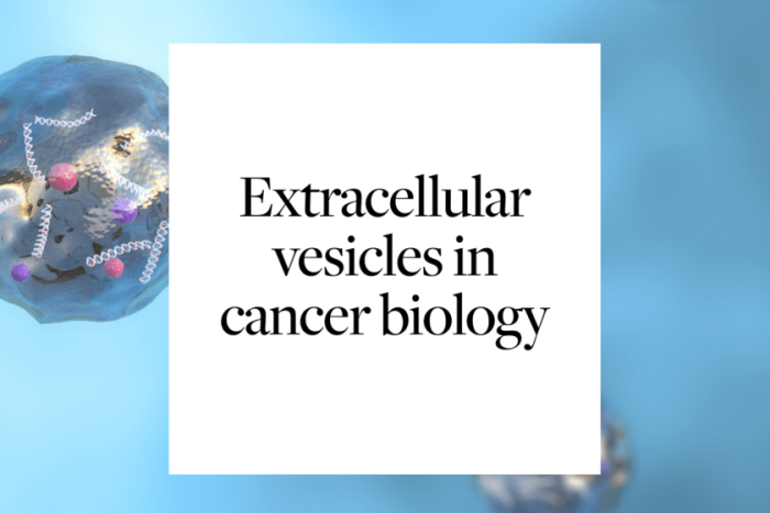 EV cancer treatment cell media: Importance and challenges