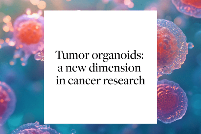 Featured image for Tumor organoids - a new dimension in cancer research