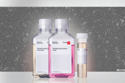 Featured image for Setting a new standard in fibroblast cell culture: Introducing a defined and animal component-free medium