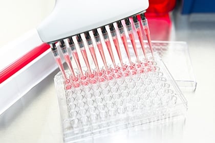 Featured image for PromoCell announces services for large-scale industrial lots of Mesenchymal Stem Cells
