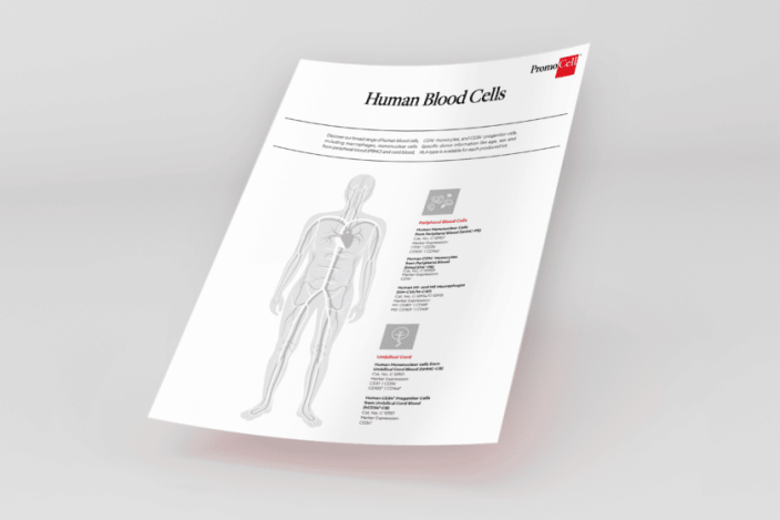 Featured image for Discover our wide range of human blood cells
