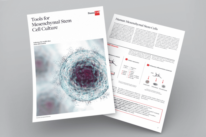 Featured image for Tools for mesenchymal stem cell culture
