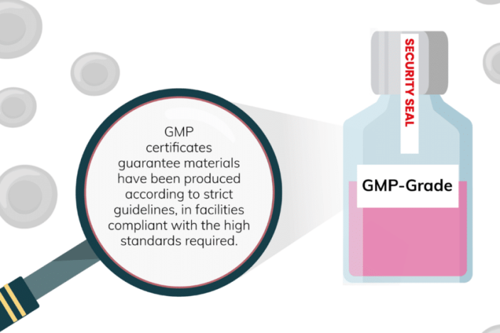 Featured image for GMP grade cell culture – infographic and expert interview