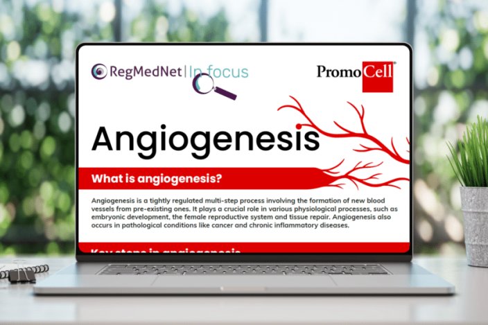 Featured image for Advancing angiogenesis research for tissue repair and regeneration