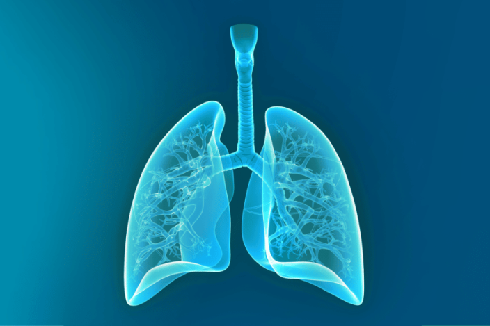 Featured image for New brochure: Tools for respiratory research