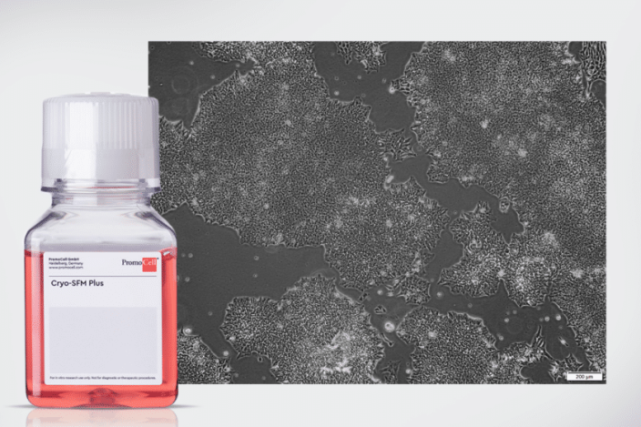Featured image for Now available: Cryo-SFM Plus – The ultimate cryopreservation medium