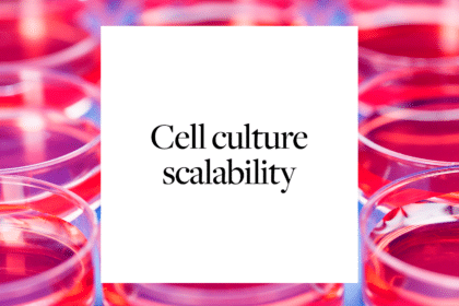 Featured image for Cell culture scalability - the future of regenerative medicine and cell therapy
