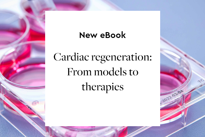 New eBook – Advance cardiac regeneration research