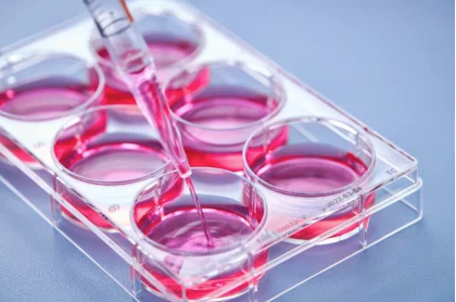 Featured image for Discover PromoCell’s new media &amp; reagents specifications guide