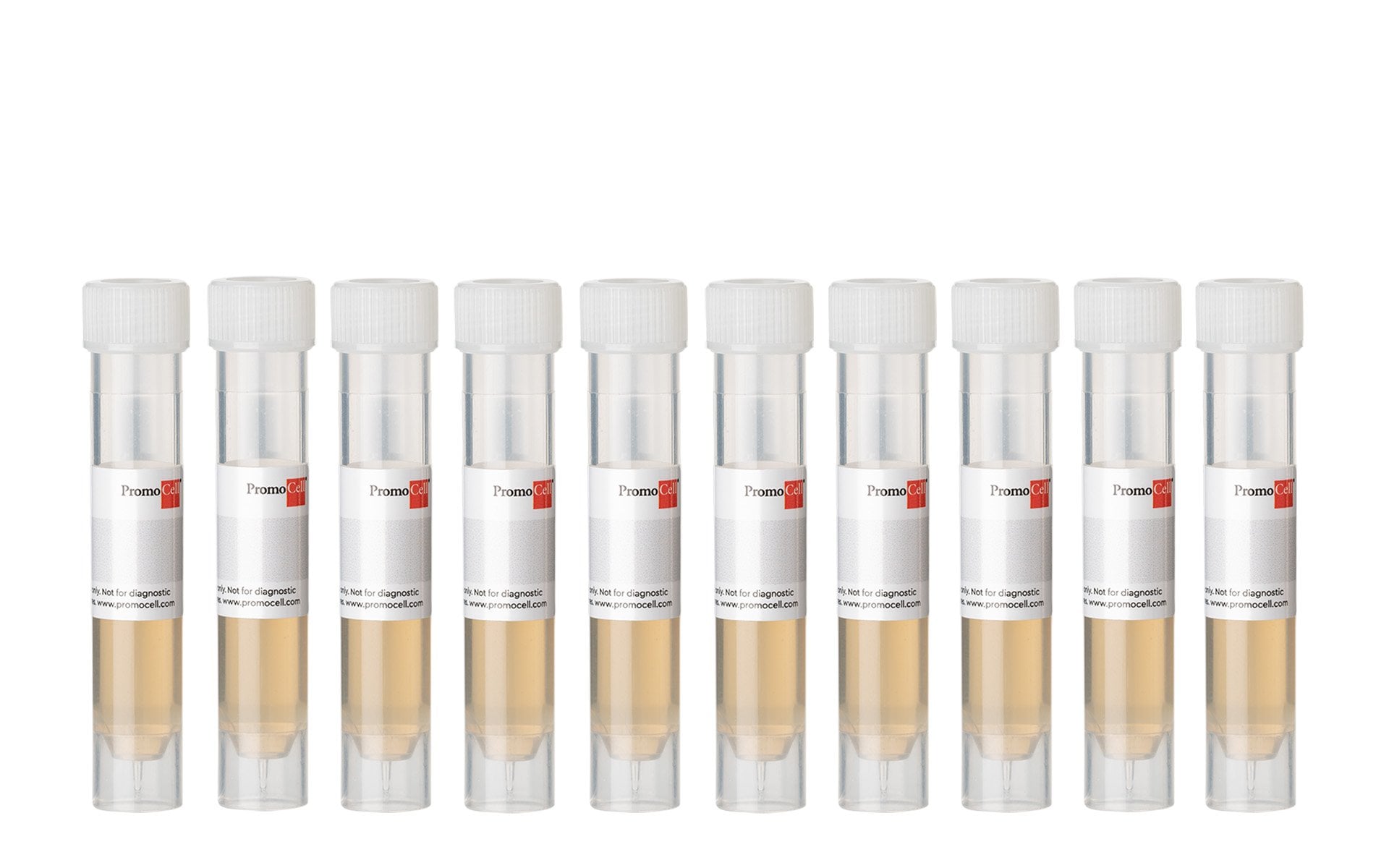 PromoCell Bovine Pituitary Extract (BPE), 13 mg protein/ml, 10 x 2 ml product image