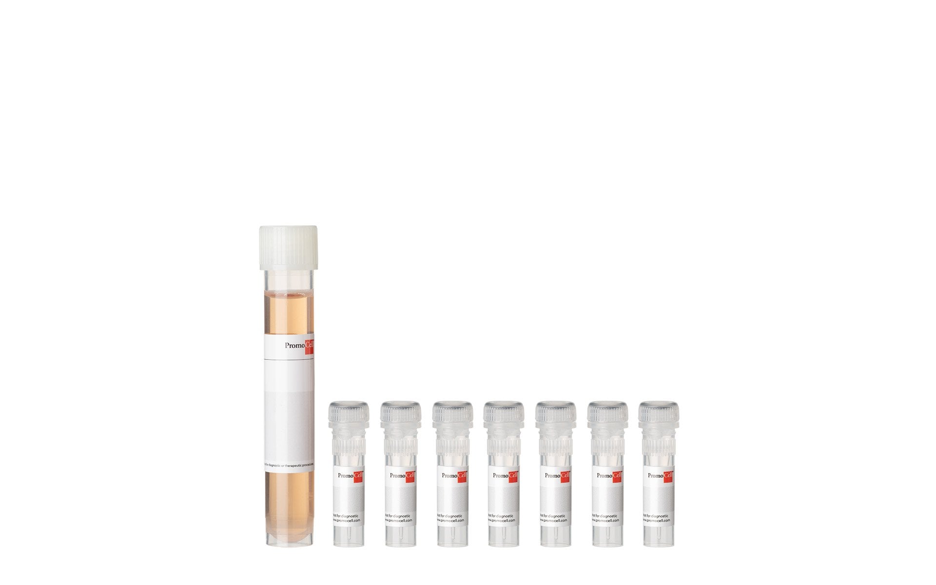 PromoCell Endothelial Cell Growth Medium 2 SupplementPack product image