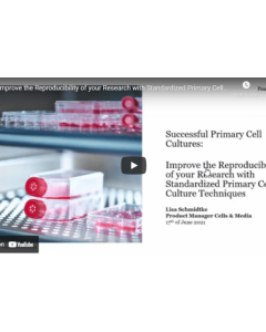 Improve the reproducibility of your research with standardized primary cell culture techniques