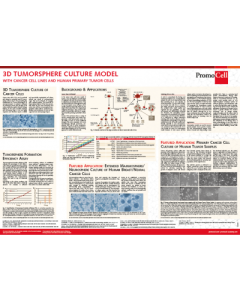 3D tumorsphere cell culture model