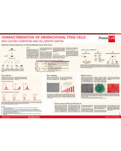 Characterization of mesenchymal stem cells – why culture conditions and cell identity matter