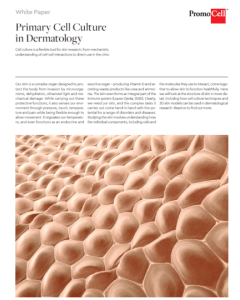 Primary cell culture in dermatology