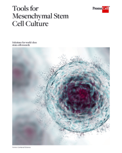 Tools for Mesenchymal Stem Cell Culture