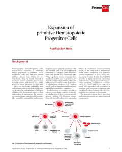 Expansion of primitive Hematopoietic Progenitor Cells