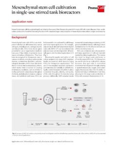 MSC cultivation in single-use stirred tank bioreactors