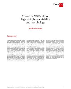 Xeno-free MSC culture: high yield, better viability and morphology