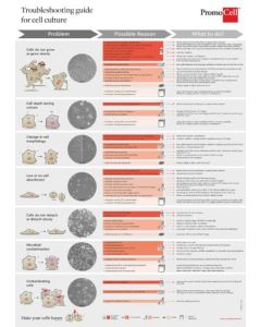 Troubleshooting guide for cell culture