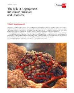 The role of angiogenesis in cellular processes and disorders