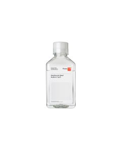 Keratinocyte Basal Medium 2, phenol red-free