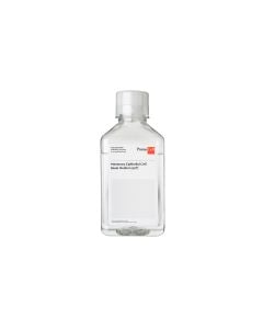 Mammary Epithelial Cell Basal Medium, phenol red-free