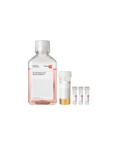 Smooth Muscle Cell Growth Medium 2 Kit