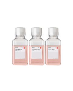 DetachKit 2, 3 x 250 ml