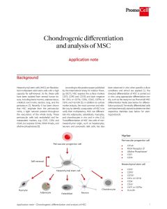 Chondrogenic Differentiation and Analysis of Mesenchymal Stem Cells (MSC)