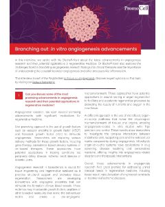 In vitro angiogenesis advancements - expert interview