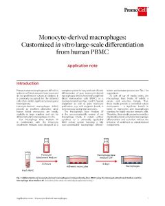 Monocyte-derived macrophages: Customized in vitro large-scale differentiation from human PBMC