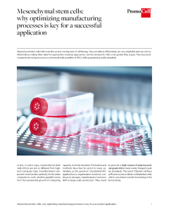 Mesenchymal stem cells: why optimizing manufacturing processes is key for a successful application