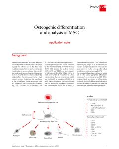 Osteogenic Differentiation and Analysis of Mesenchymal Stem Cells (MSC)