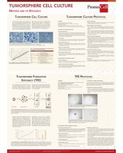 Tumorsphere cell culture: Method and efficiency