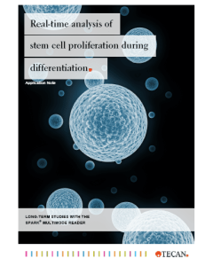Real-time analysis of stem cell proliferation during differentiation