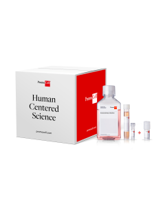 Cell KIT - Keratinocytes