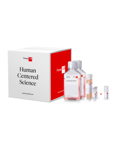 Cell KIT - Human Cardiac Myocyte Plus
