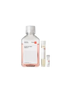 Keratinocyte Growth Medium 3